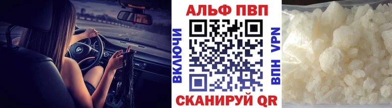A PVP СК КРИС Новоалтайск