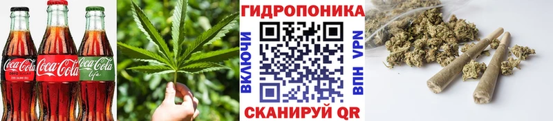 KRAKEN сайт Новоалтайск Печенье с ТГК марихуана