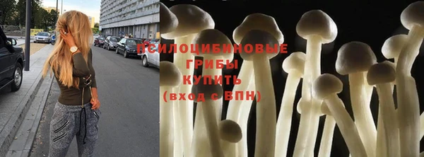бошки Алексеевка