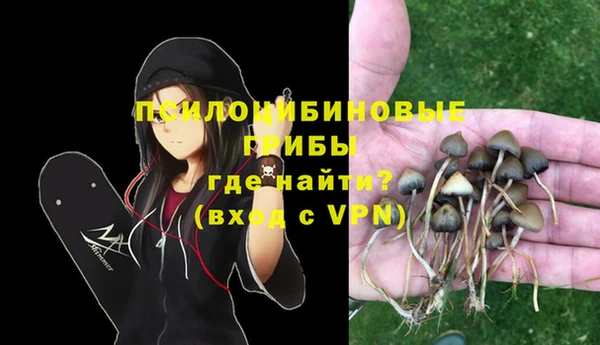 бошки Алексеевка
